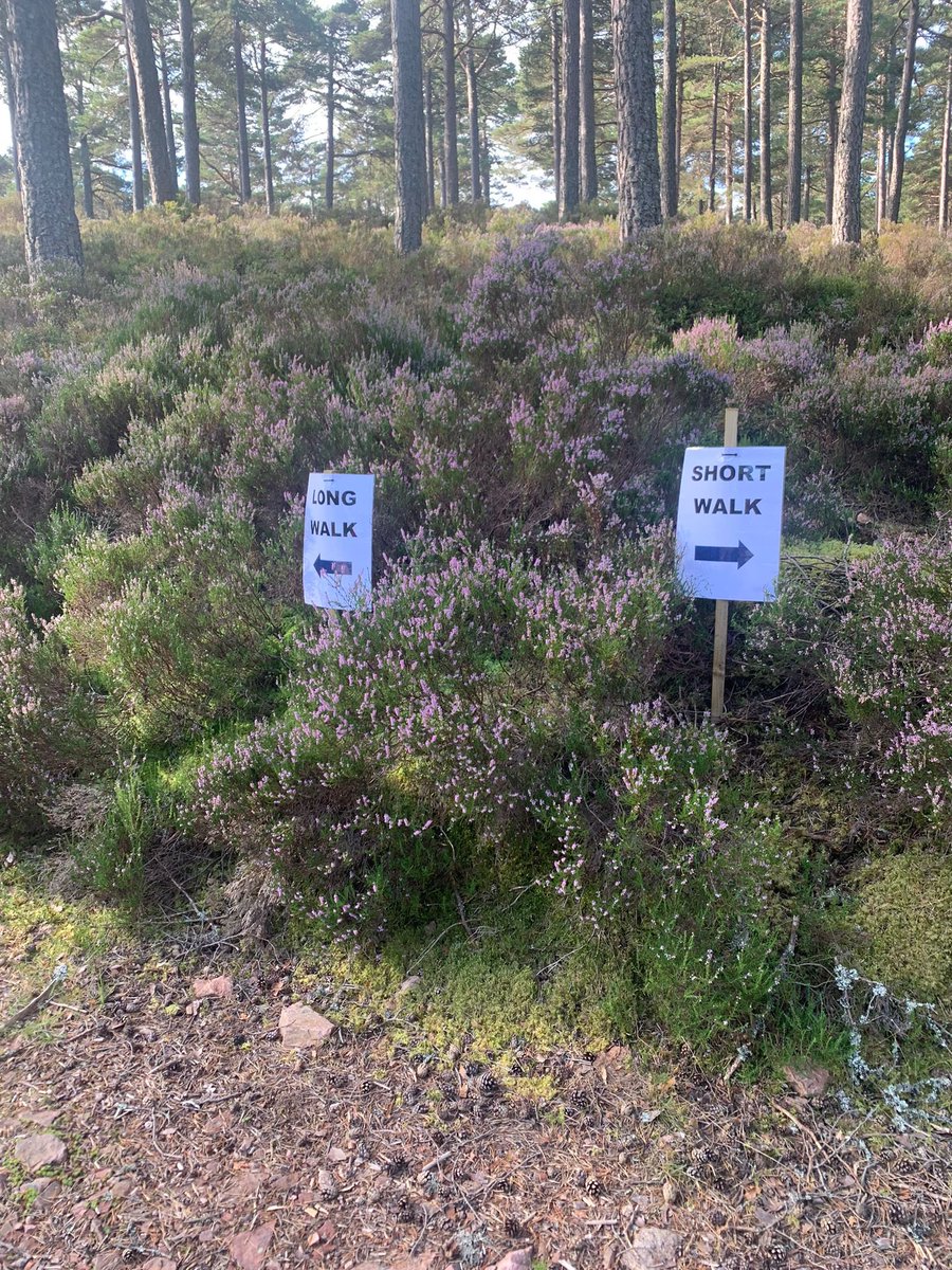 AberdeenMRT's tweet photo. 🚶‍♂️ 🏃🏻‍♀️ Our 2024 Fundraising Event will take place on Saturday 31st August. Following the success of last year’s event, we have decided to return to Glen Tanar Estate. There will be a Long Walk (c25Km), a Shorter Walk (c8-10Km) and a Hill Run (c10Km). https://t.co/EGA0a1UbN5