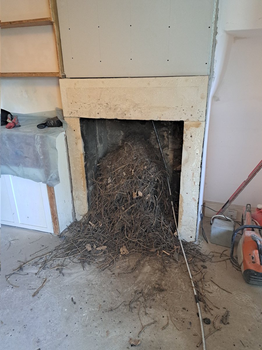 ChimneyKnowHow tweet picture