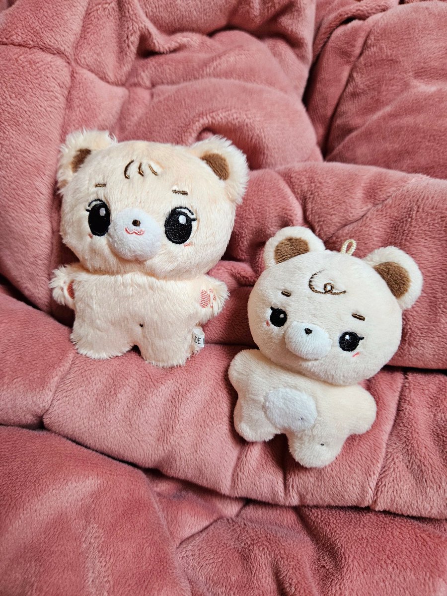 채꼬미와 작꼬미🐻