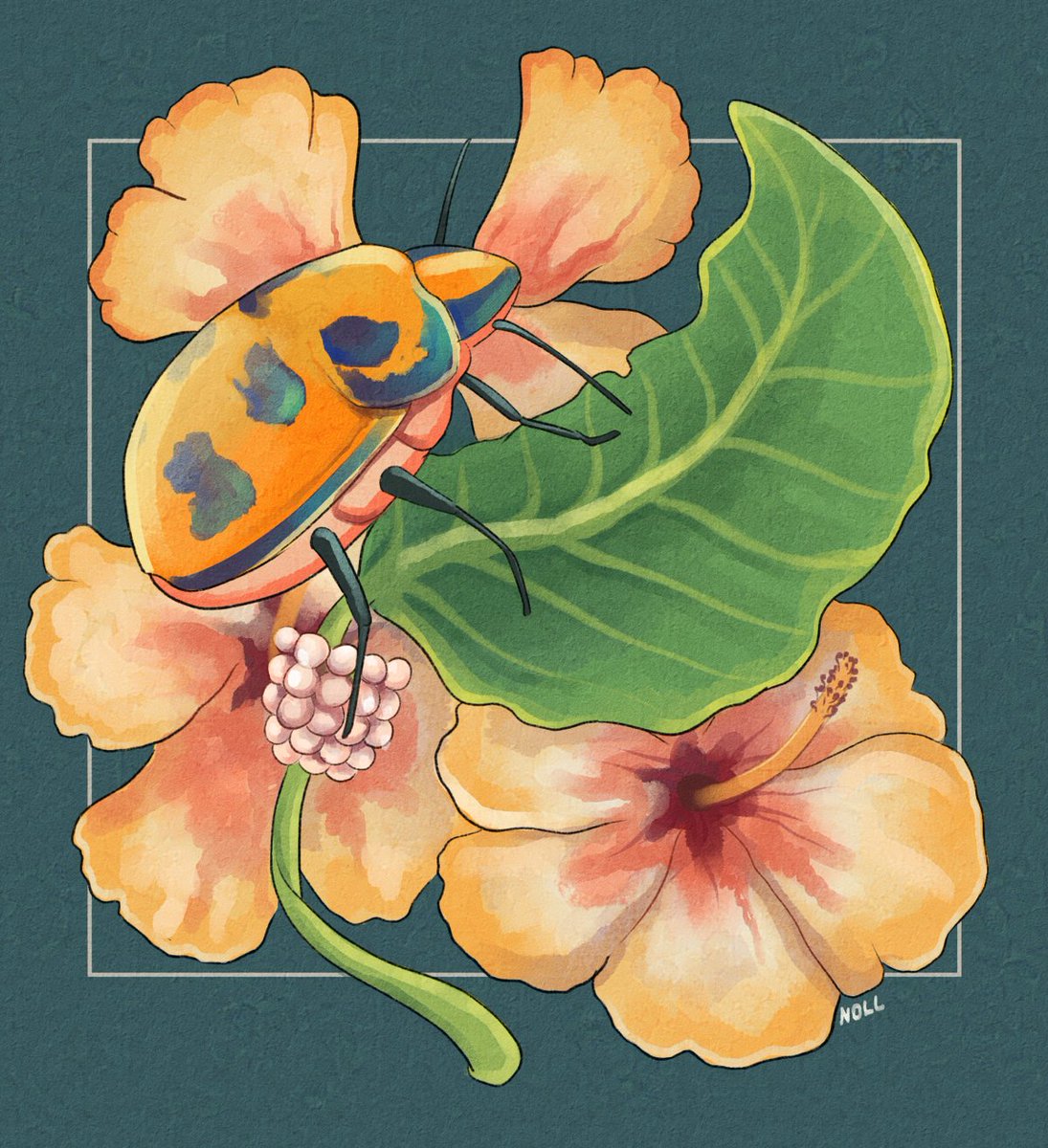 nollthere's tweet photo. I am so late for this prompt but here, for #insertaninvert2024 I present: The hibiscus harlequin bug (Tectocoris diophthalmus) and its very cute eggs like a pink pearl bracelet for the prompt "Relationships: Eggs." #sciart #insertaninvert #bugs #art https://t.co/1V7MjMUGhk