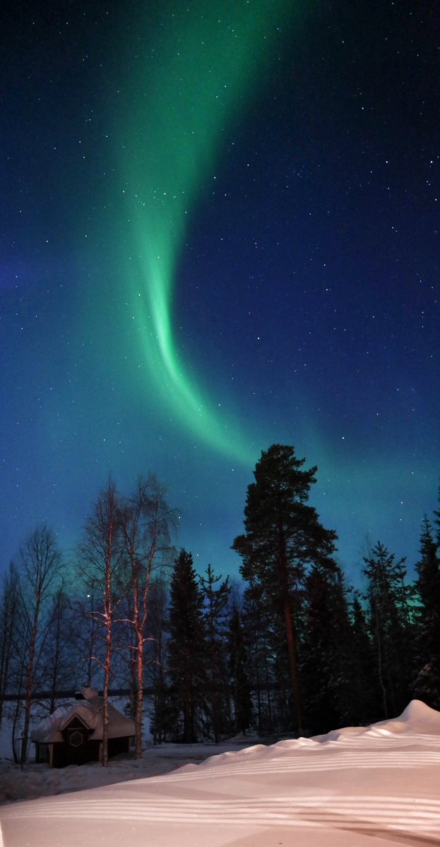 Michael_Rabone's tweet photo. The beauty of Finnish Lapland - clear skies, cold nights and a welcome appearance…

#aurora #auroraborealis #northernlights #Finland 

@OurLapland @StormHour https://t.co/IUEbFewDv9
