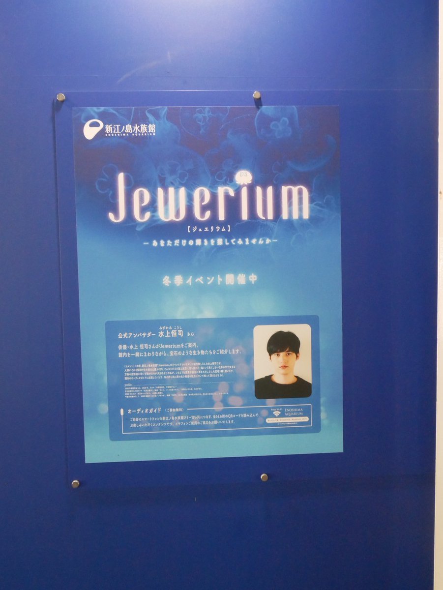 kankuma0511's tweet photo. 新江ノ島水族館行ってきました👾
恒司くんのガイドを聴きながら水族館を巡れるなんて幸せな時間を過ごせましたが、聴くことにに気をとられてしまうので大変でした😆
でも、14箇所もガイドが聴けたので楽しかったです🥰
#水上恒司
#新江ノ島水族館
#Jewerium https://t.co/mJDVlwuDqy