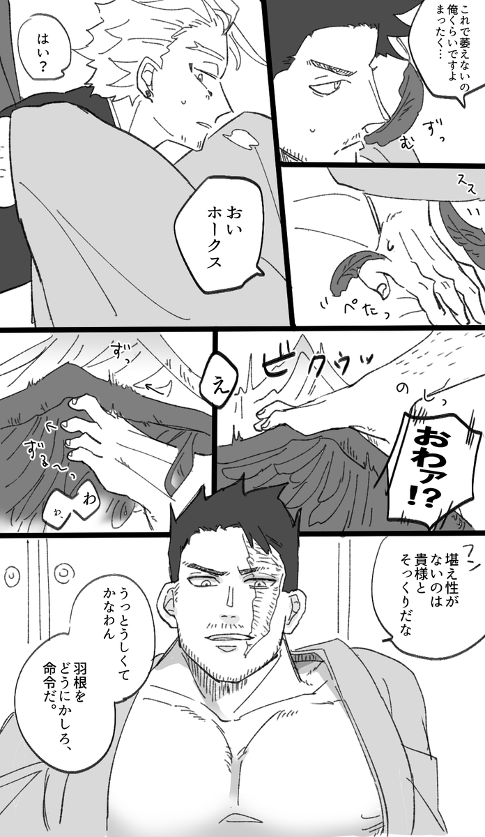 こっちはなにも考えずにかいたできてるはっぴーホー炎×2 
