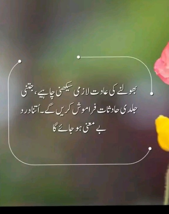 Muhamma65298766's tweet photo. https://t.co/iTreLVnq8U