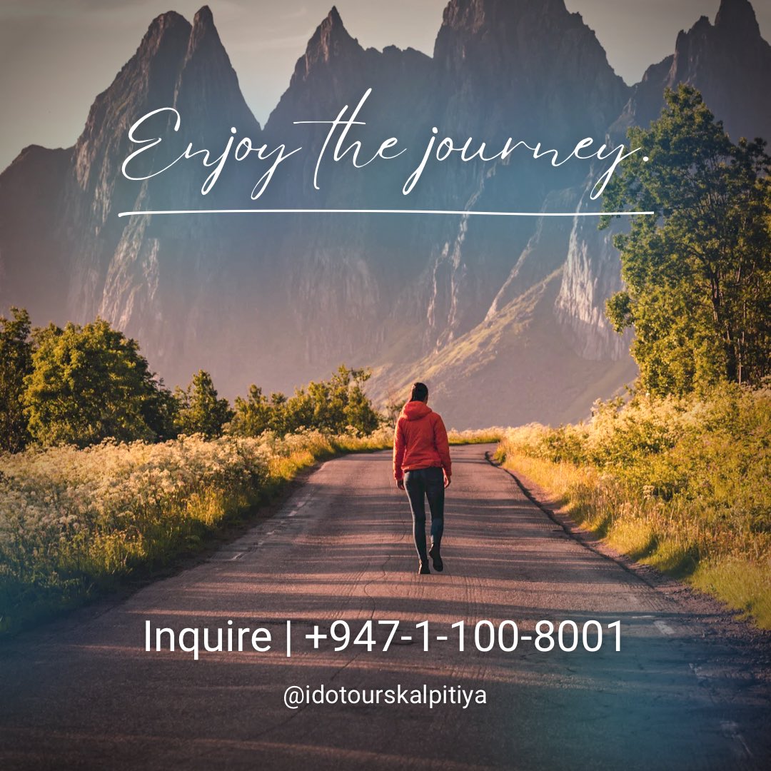 ToursDo's tweet photo. Enjoy the journey ❤️

Inquire now +947-1-100-8001

#kalpitiya #enjoylife #Enjoy #enjoyment #enjoythemoment #enjoythejourney #tour #idotourskalpitiya #srilankalife #srilankatravel #SriLanka https://t.co/PNvqWwSFlN