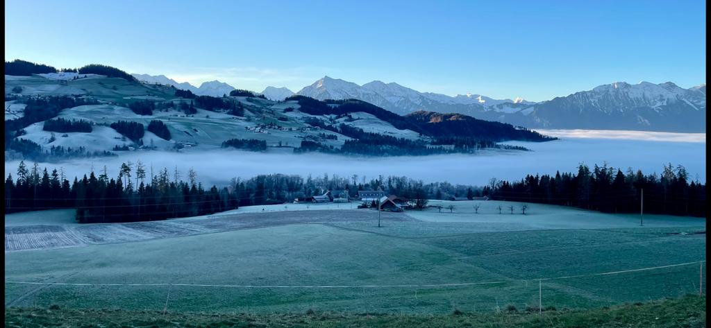 Ich sehe Berge ragen
bis in des Lichtes Reich.
Der Glaube wird mir sagen
den Weg, den rechten Steig.
Dort find ich offne Türen:
Mein Engel tritt heraus
und wird mich weiter führen
bis in das Vaterhaus.
- Karl May, Deutscher Schriftsteller, (1842-1912)