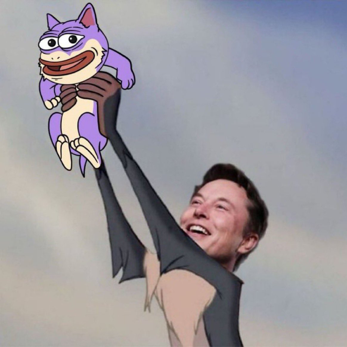 elonmuskdoge69's tweet photo. Apparently if you as Grok AI what would be Elon’s pet in Solana the answer is $DUKO.

$DUKO launched 48h ago and the chart seems insane.
• Backed by @Gotbit_io (same MM as $MYRO, $BONK)
• Nick Rose/ Sr Peters as advisory
• Insane community behind it.
• Donatios to Dog charities.

There is a new Dog in town 👀