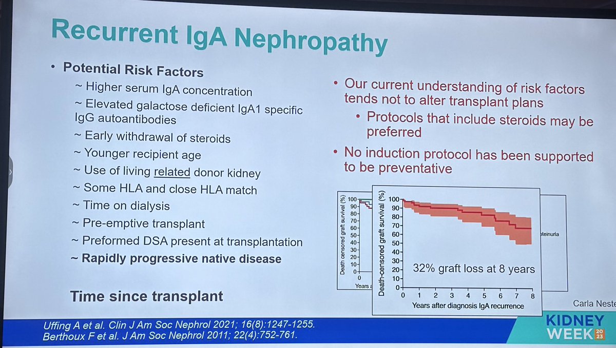 Ken_Nephrology's tweet photo. 🔥ASN KIDNEY WEEK HIGHLIGHTS INDIA @ktrue72 @ASNKidney 

 📌 Kidney transplant topic

🔝Recurrence of IGA nephropathy https://t.co/3UZFrVYCHX