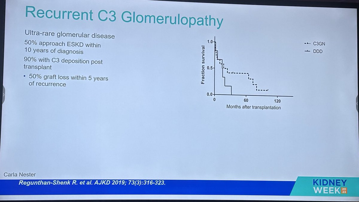 Ken_Nephrology's tweet photo. 🔝Recurrence of C3G https://t.co/JppdelTW3g
