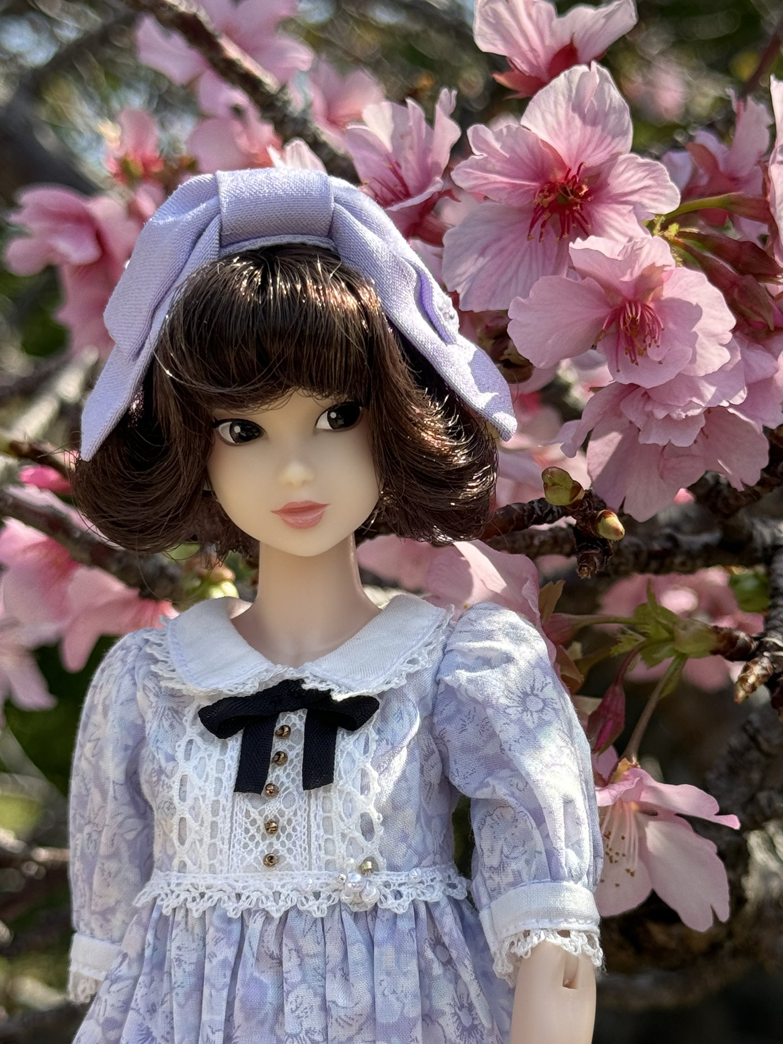大特価 意味 クーポン最大550円OFF!】あす楽!!【送料無料】momokoDOLL 桃色の momoko