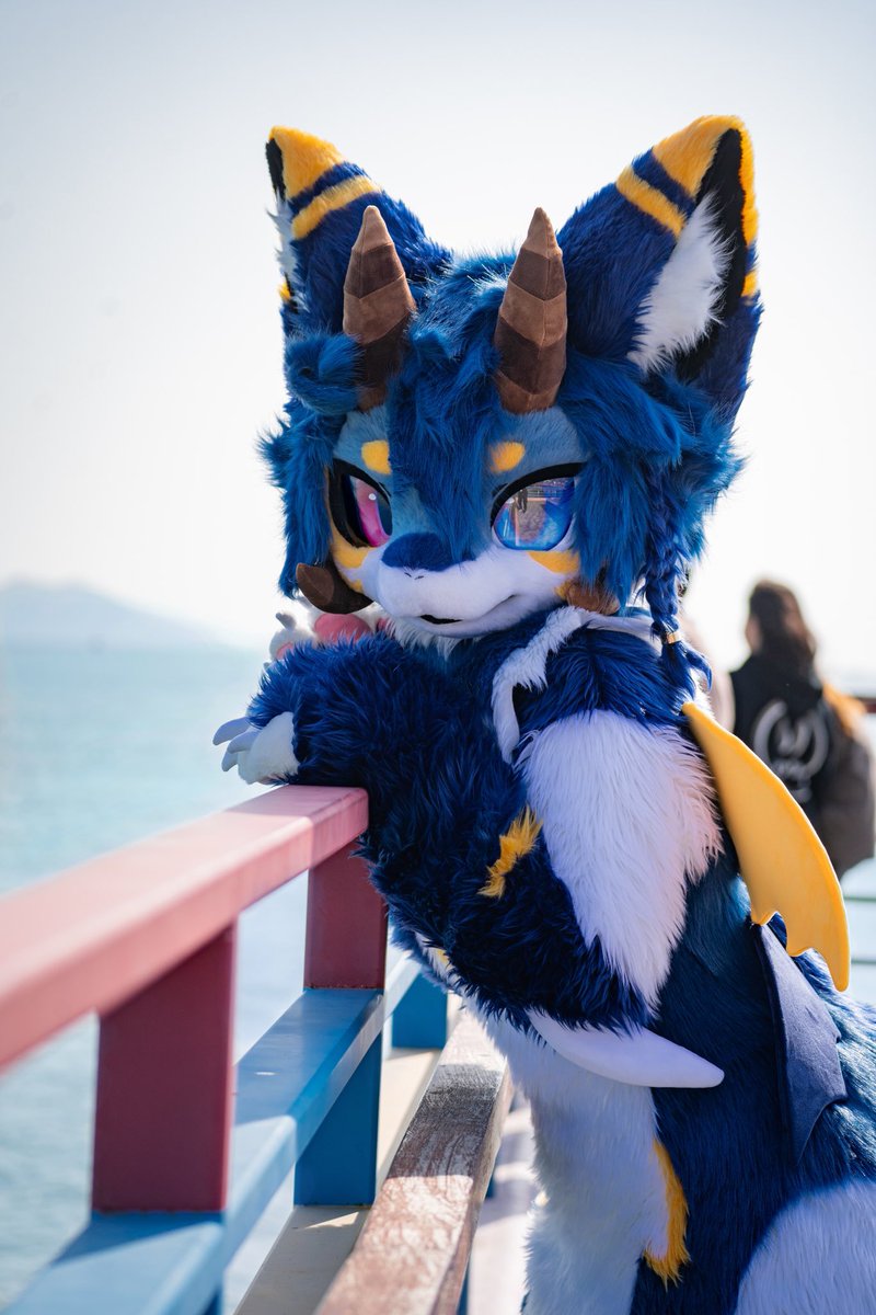 #Fursuit #FursuitEveryday 

“See！How magical the sea is！”

🪡：<a href="/yimaniao/">yimaniao</a> 
💙：is me！
📹：@EmDYsC4MeQ9gevK