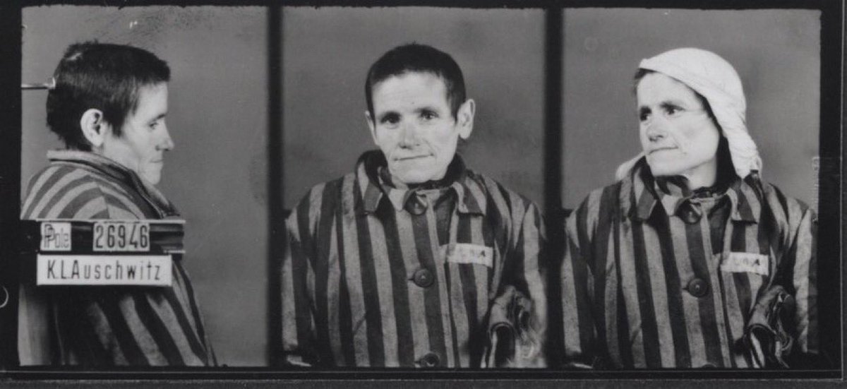 Auschwitz Memorial tweet media