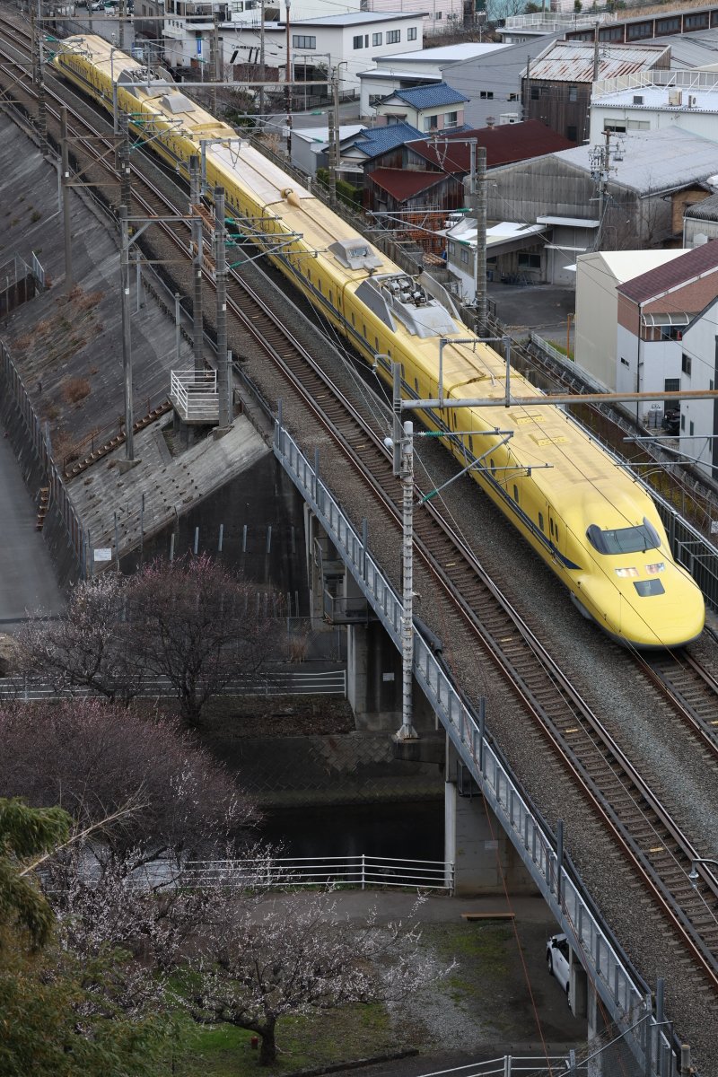EF5861KT's tweet photo. 2024.2.18
3983A 試運転 JR東海923形
T4編成　ドクターイエロー

梅の花が全体的に三分咲きかな https://t.co/RpH2jgFYnO