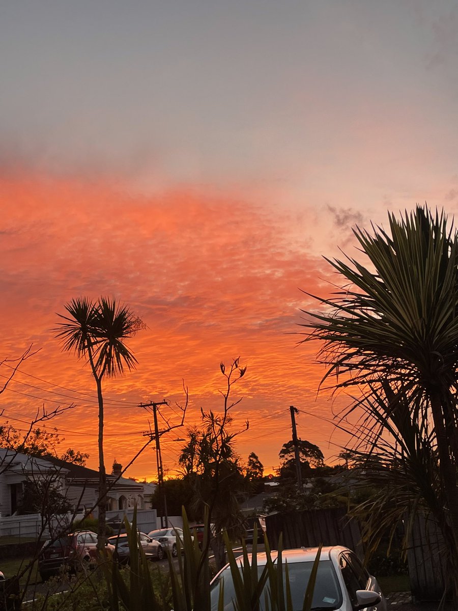 eccentriclady84's tweet photo. Breathtaking sunset tonight #TāmakiMakaurau #Auckland #Aotearoa #NewZealand #Sunset #BreathTakingSunsets #SunsetInParadise https://t.co/bK75gy0mbP