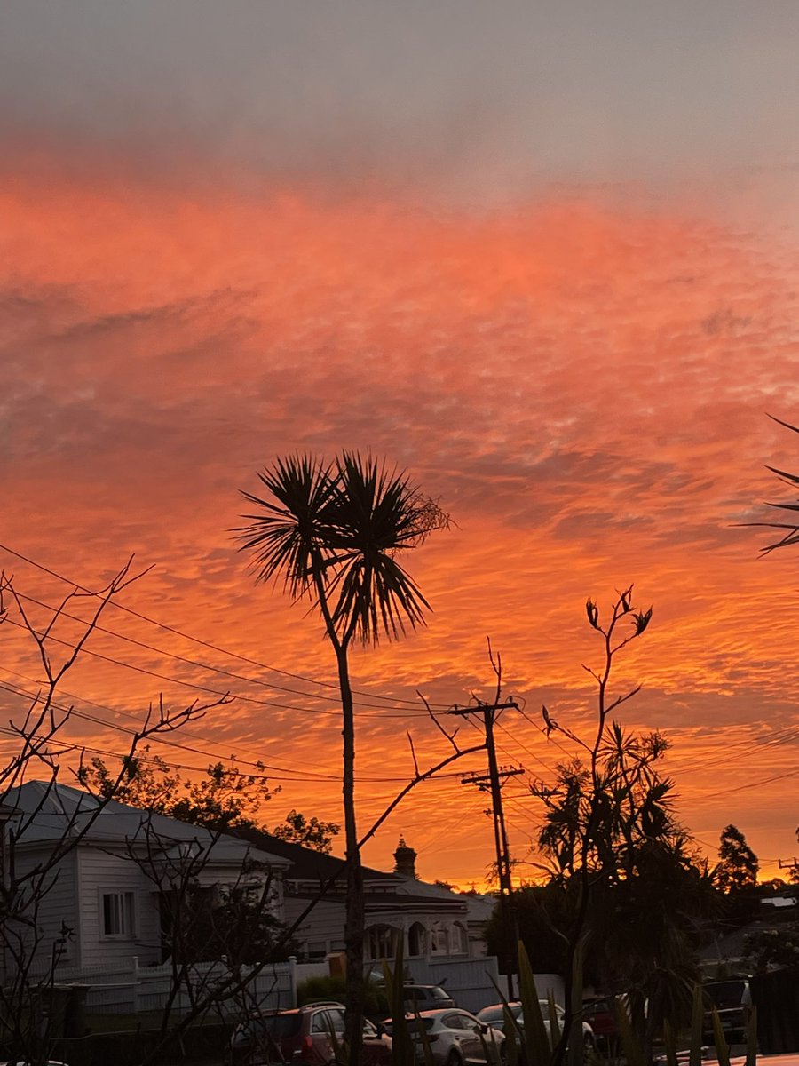 eccentriclady84's tweet photo. Breathtaking sunset tonight #TāmakiMakaurau #Auckland #Aotearoa #NewZealand #Sunset #BreathTakingSunsets #SunsetInParadise https://t.co/bK75gy0mbP