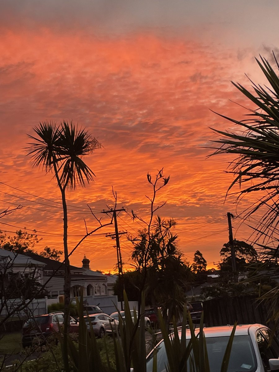 eccentriclady84's tweet photo. Breathtaking sunset tonight #TāmakiMakaurau #Auckland #Aotearoa #NewZealand #Sunset #BreathTakingSunsets #SunsetInParadise https://t.co/bK75gy0mbP