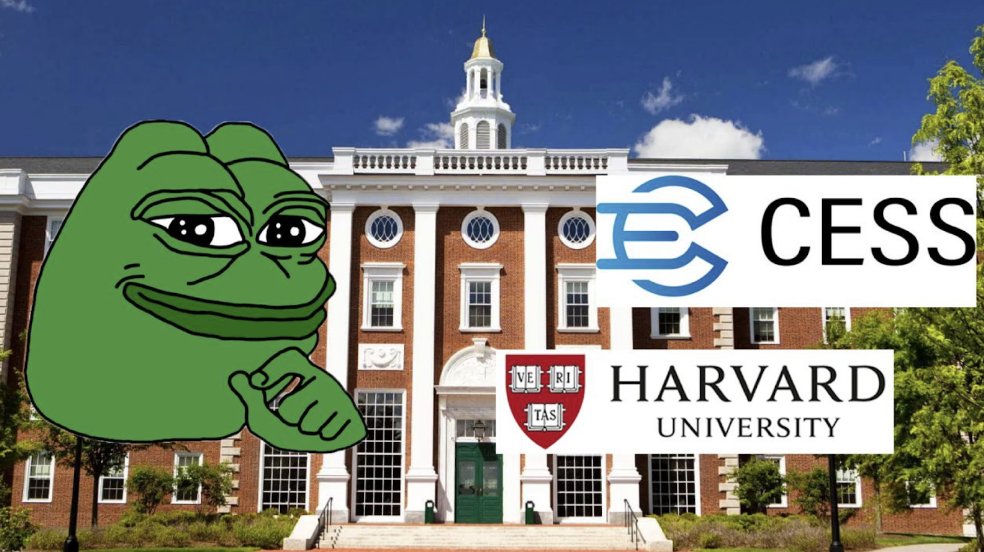 追风Lab .eth🌿 tweet media