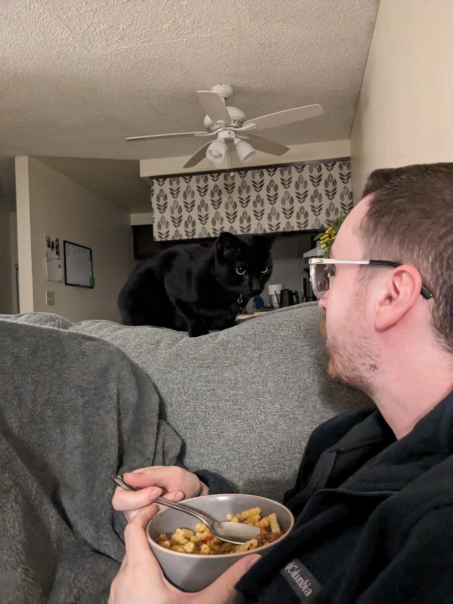 SavmmS's tweet photo. #kittytime #P4A2024 https://t.co/6mNLbXSDUD