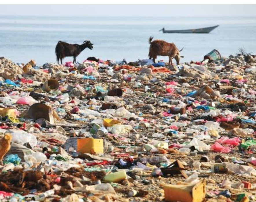 creation_ccf's tweet photo. As the 36th African Union Summit kick off in Ethiopia, We need to make sureย they don't ignore one of the biggest issues threatening our continent - plastic!!
#EndSingleUsePlastics
#OurplanetOurLife
#PreseveGodsCreation https://t.co/79FRxzEyF0