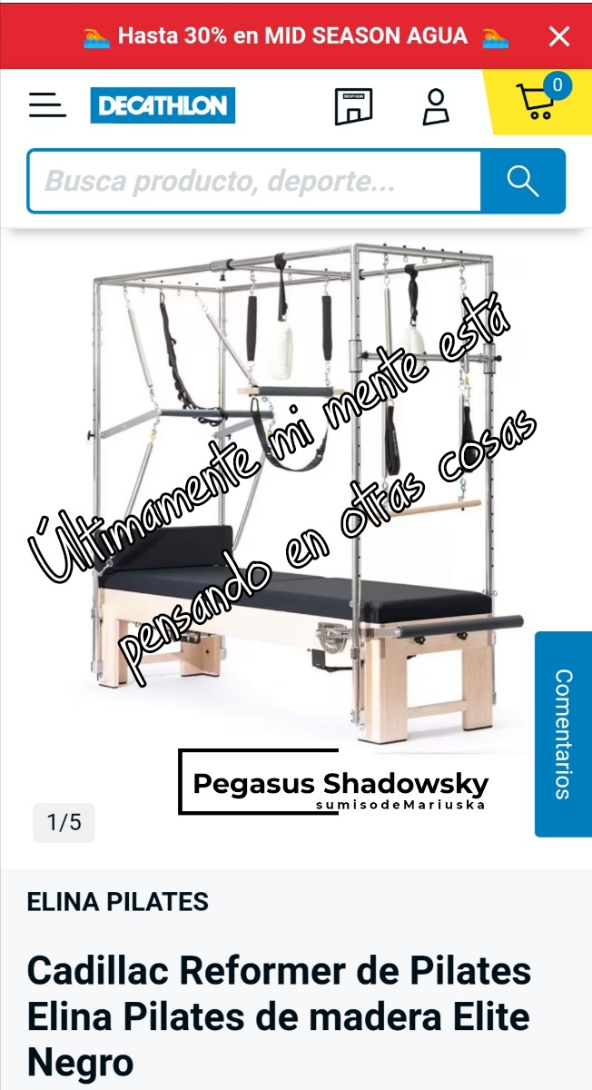 Pegasus_Shadowsky (@pegasushadowsky) on Twitter photo 