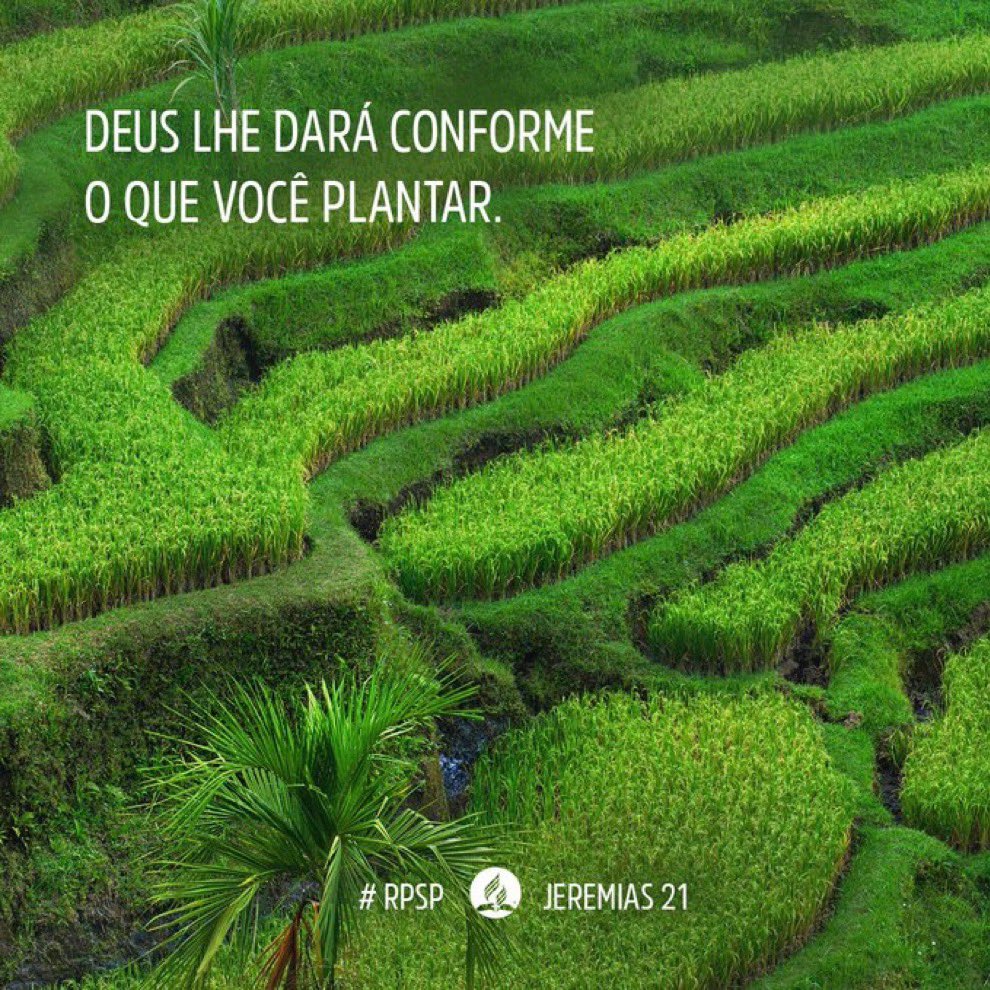 jeanetepinto's tweet photo. #Jr21|Na jornada, há caminhos de vida e de morte! A dependência de Deus e a obediência a Ele, conduz a um caminho seguro e de vida eterna. #rpSp https://t.co/xXMepXeL5L