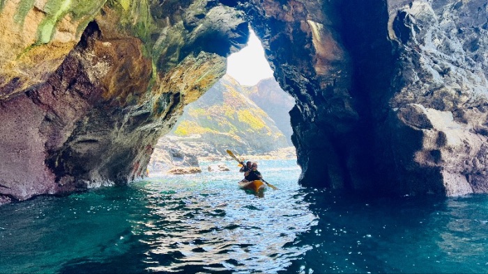 Koru Kayaking tweet media