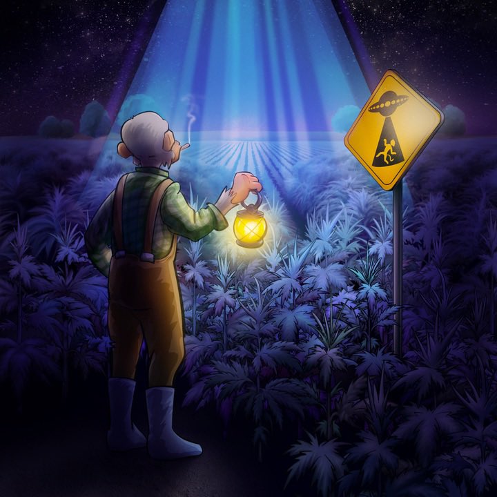 pumpactionpurde's tweet image. BULLISH ON THE @StonedApeCrew

SPACE MISSIONS SOON!!!!