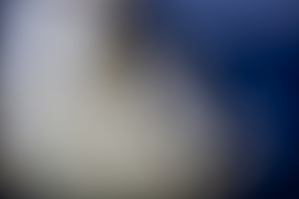 netemmesh42748's tweet image. 