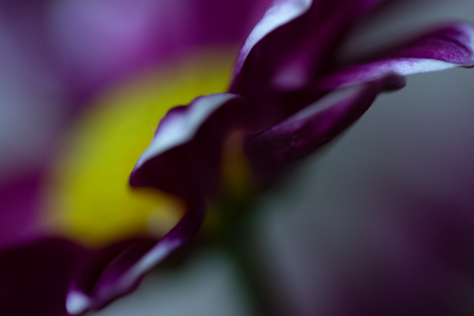Tepsitey (@tepsitey85882) on Twitter photo 