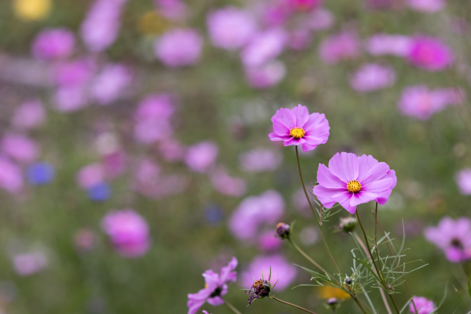 Tysoar (@tysoar29035) on Twitter photo 