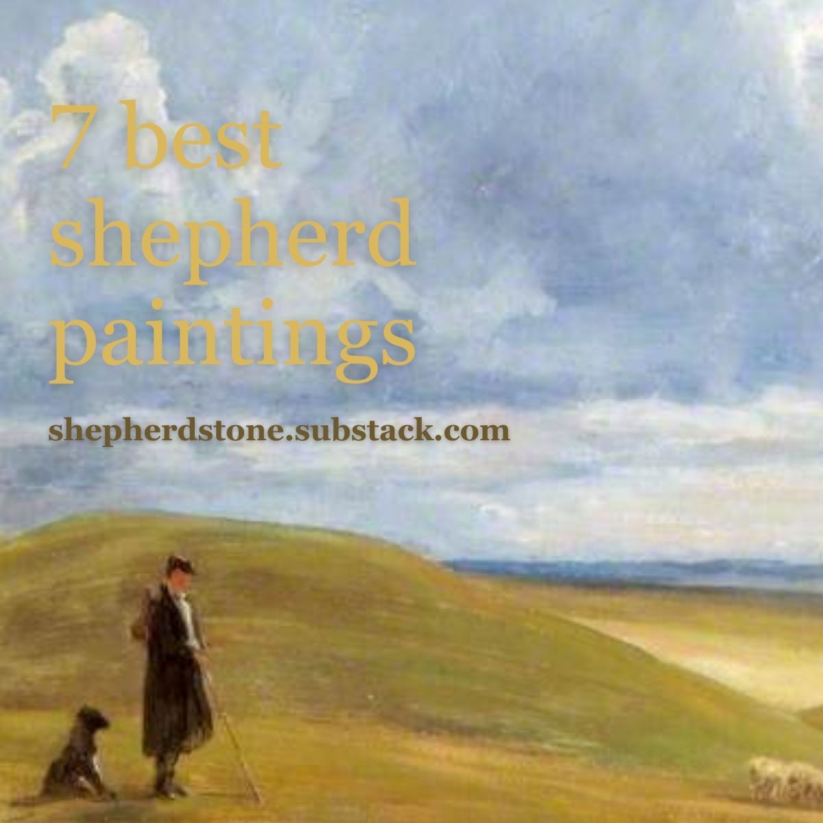 Helen Castle tweet media