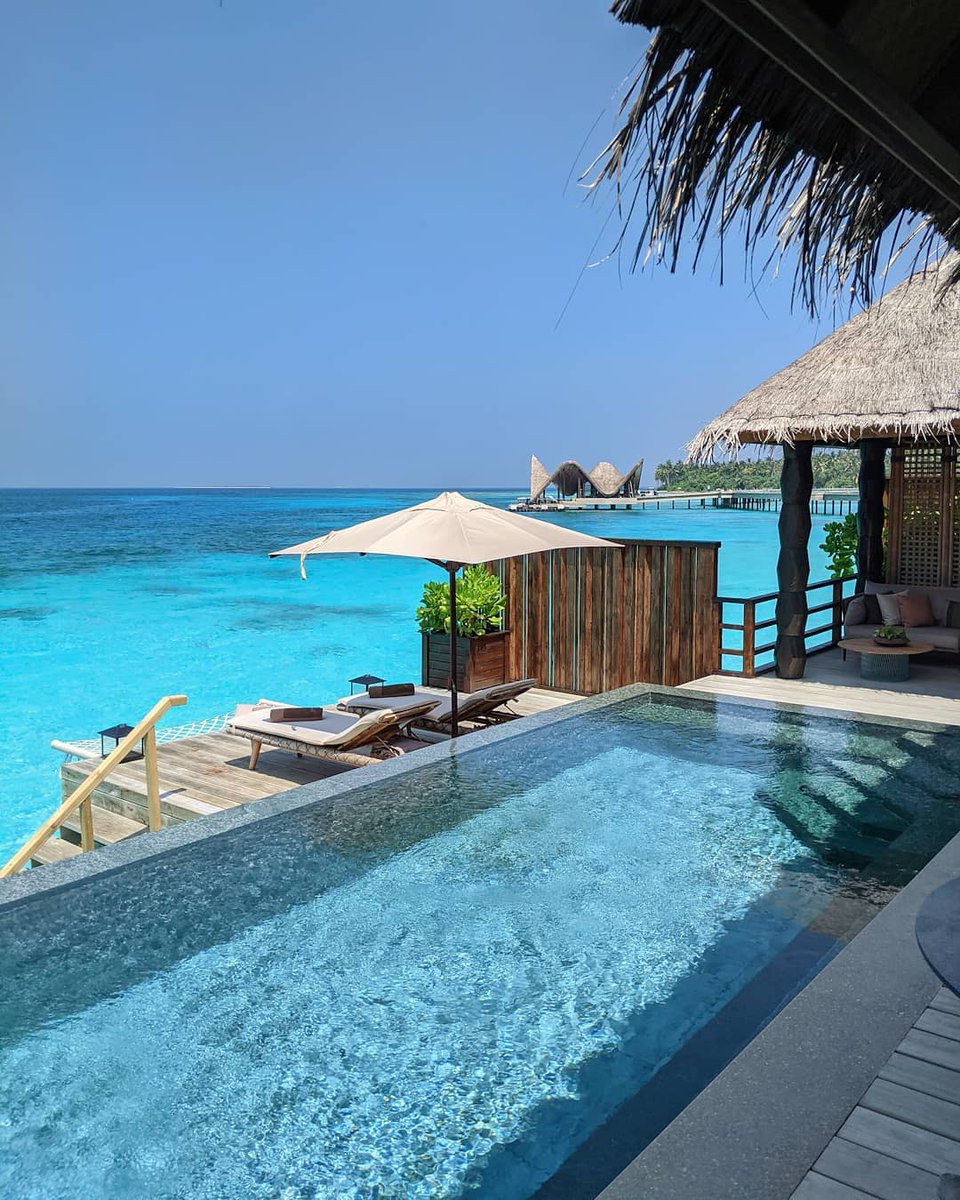 whspzphr33034's tweet image. 