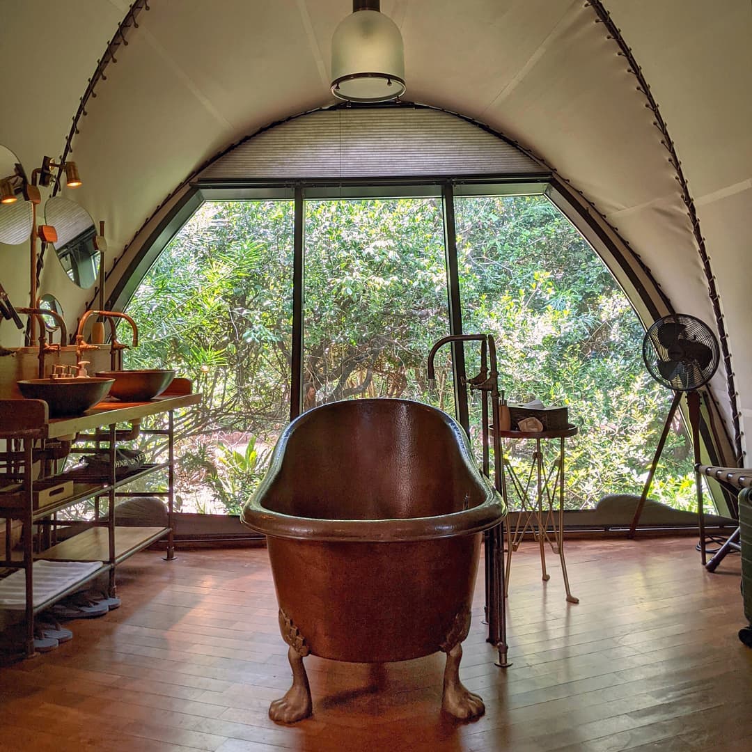 Seesleaus (@seesleaus96577) on Twitter photo 