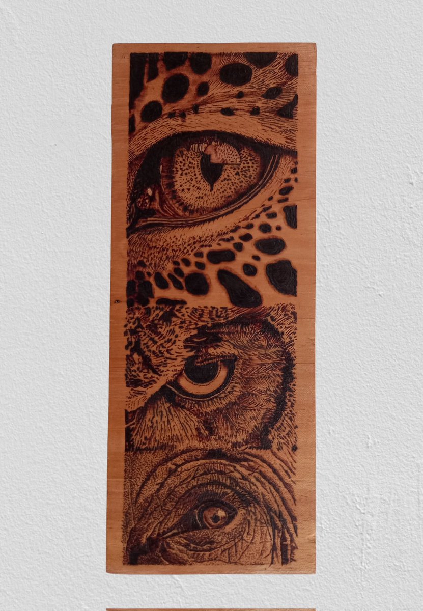 Wild eye 👀 🐆🦉🐘
Wood burning Art 🔥 

Join with me on social📱 

Facebook 
facebook.com/profile.php?id…

Instagram 
instagram.com/lak_art7?igshi…

#Pyrography #art #woodburning #woodburningart #wildlife #wildanimals #srilanka