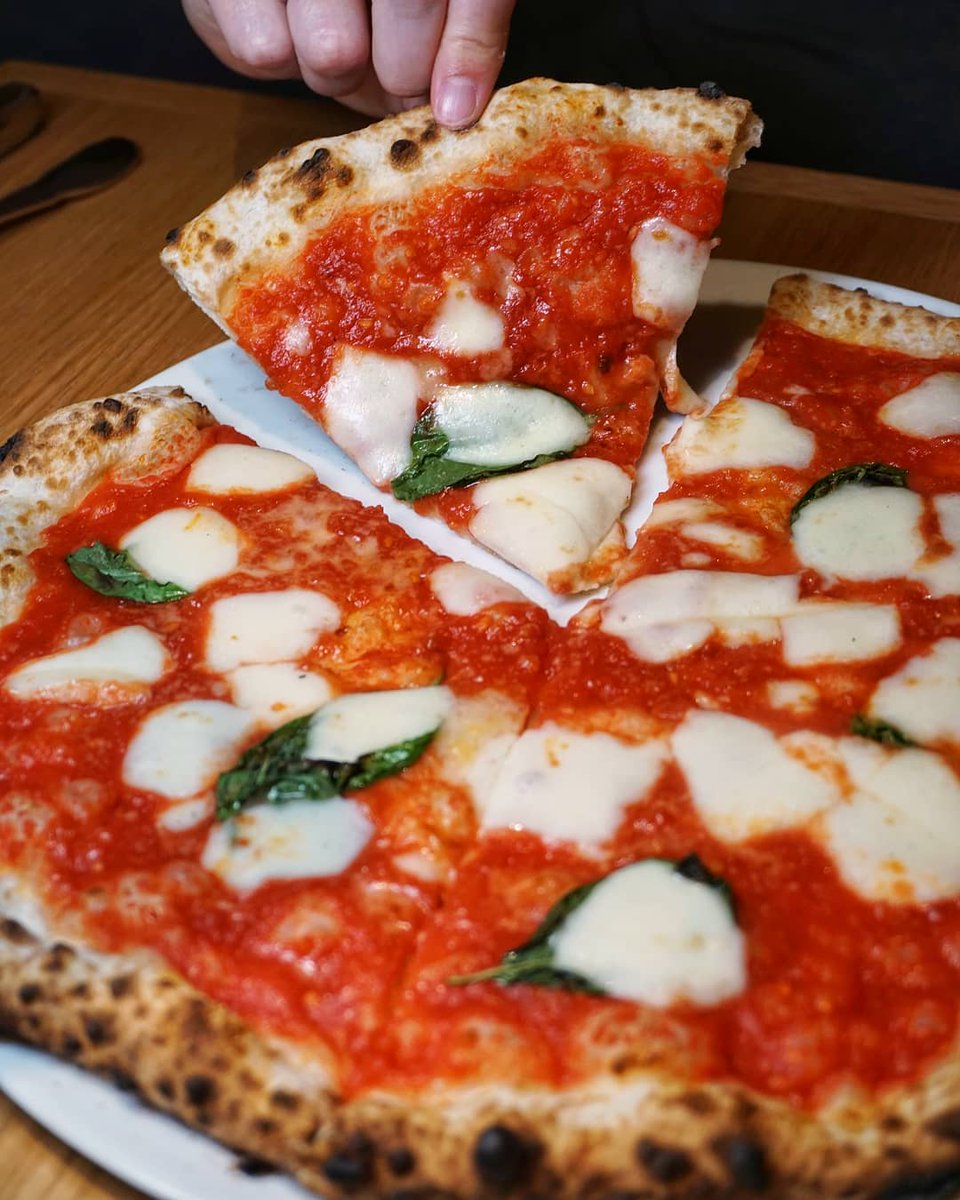 SparkCoral26659's tweet image. 