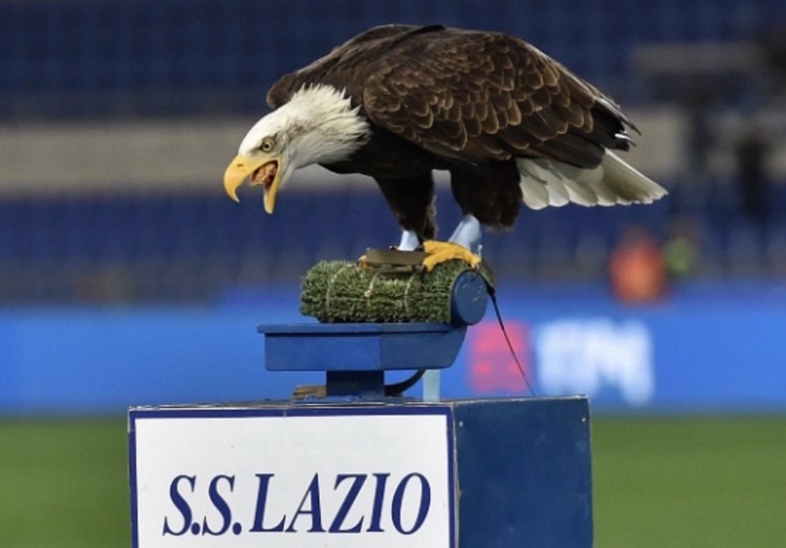 Buongiorno e #FORZALAZIO 🦅 🦅
#LazioBologna