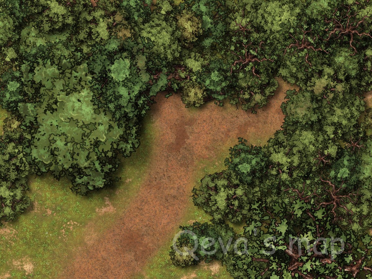 qevashop's tweet image. Title : Into The Forest

Using @inkarnaterpg 
#dungeonmap #battlemaps #dungeonsanddragons