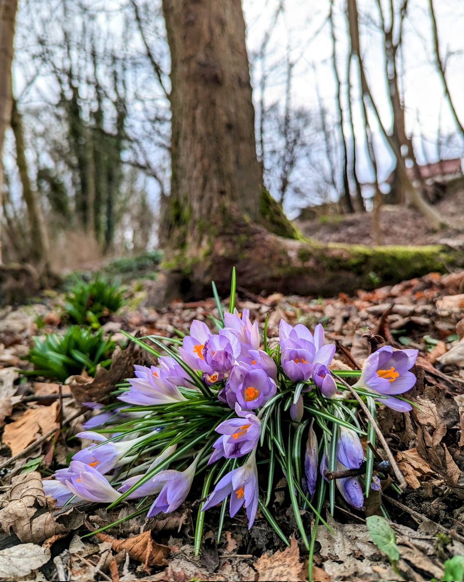 Wishing you a serene Sunday 😁