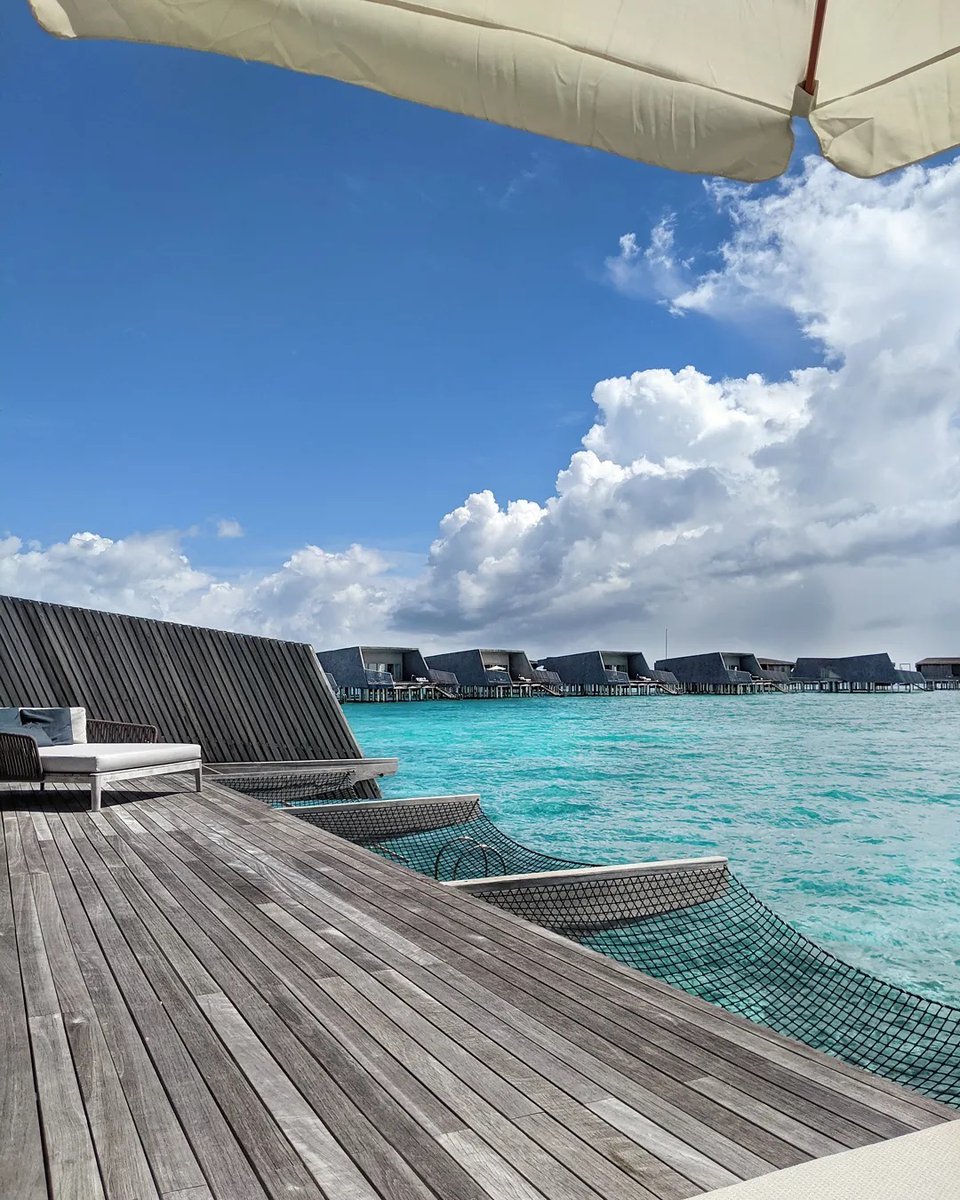 Phipiez (@phipiez176430) on Twitter photo 