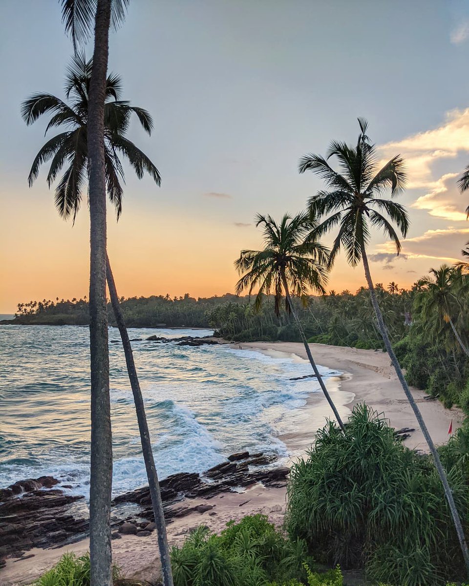 Neteslee (@neteslee90096) on Twitter photo 