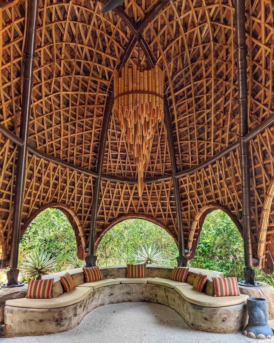 Nedea (@nedea321485) on Twitter photo 