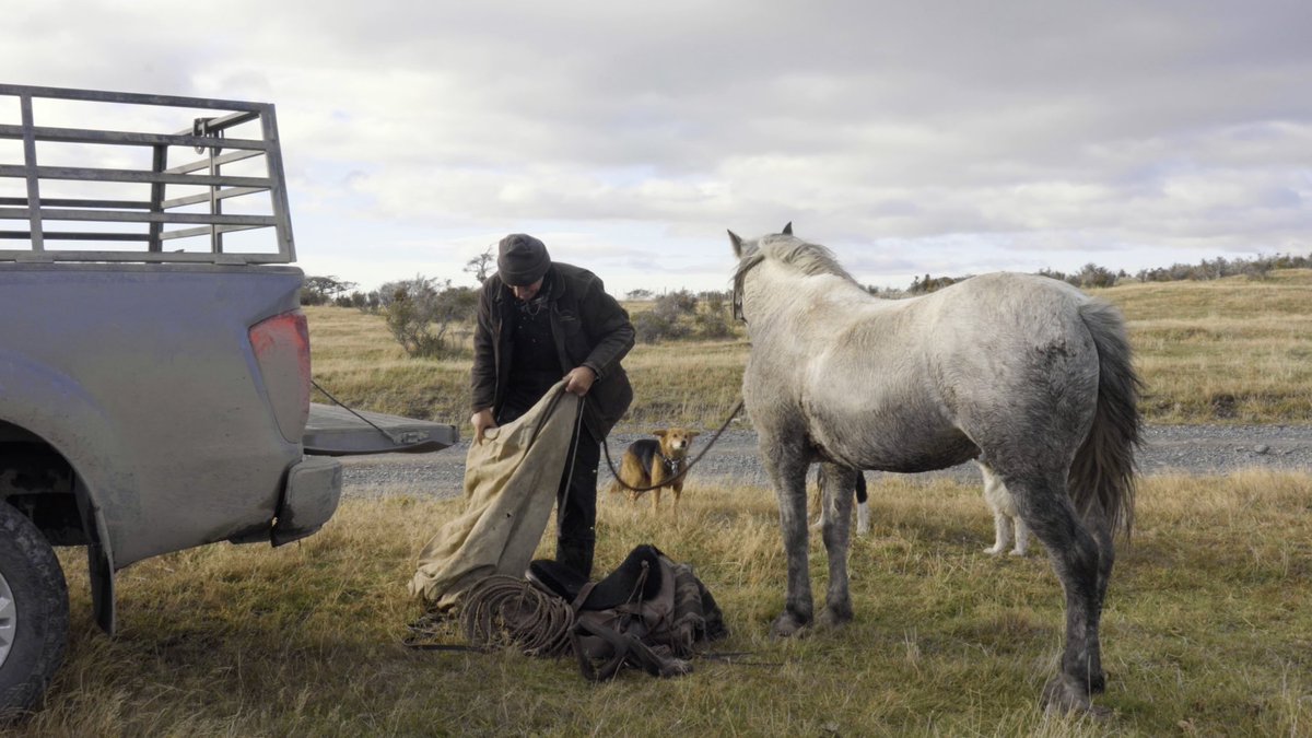 agustin_lizana's tweet photo. 🧭 Hace unos dos años fui a Puerto Natales para conocer la vida de uno de los tantos ganaderos de la Patagonia. Aquí el proyecto completo titulado “Entre pampa, hielo y perros pastores”  https://t.co/q1OwhIlBl3 https://t.co/FIVSrDylu2