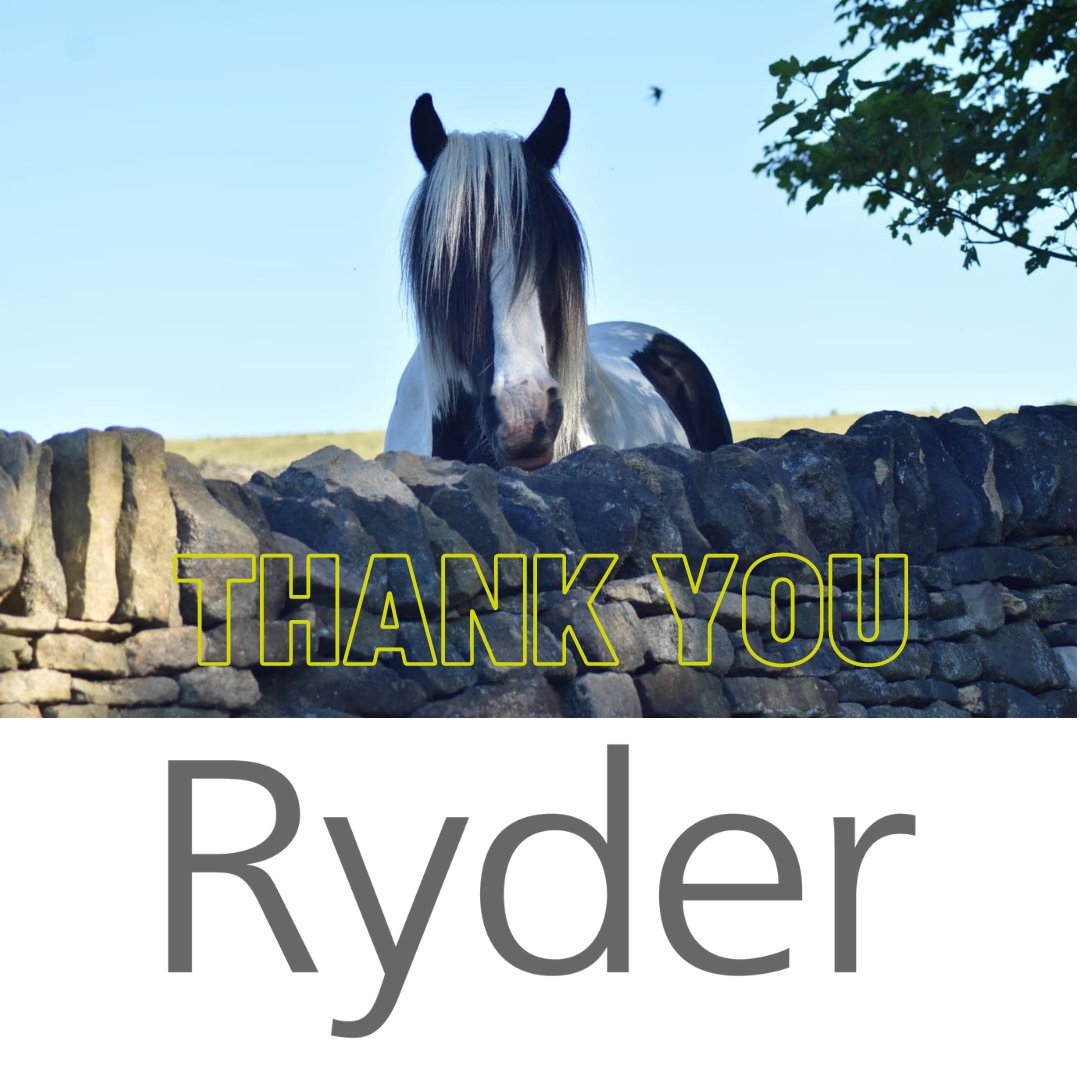 A heartfelt thank you to Ryder Architecture for stepping in at the crucial moment to help progress plans for a new community room and a stable block at the Riding Centre. Sheldon Walsh, partner at Ryder, and his team have been excellent and incredibly kind working pro bono .