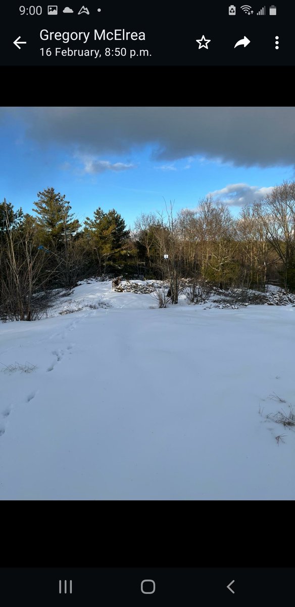 TriangleSkiCLub's tweet photo. Another dusting of snow helps. Still sparse in areas open to the sun. https://t.co/xAazjaElnr