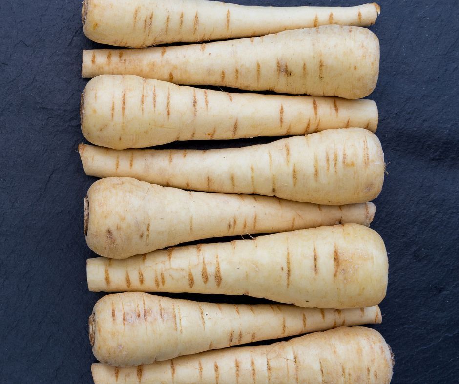 Parsnips are a classic ingredient in some chicken broths and soups, and can also be baked, sautéed , steamed, mashed or pureed, roasted, used in stews and fried. How do you like to use them? #HMGA #HollandMarsh #Parsnips #RootVegetables #OntarioVegetables