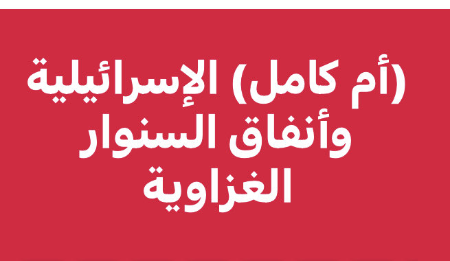 دخلت المسيرات حديثاً في الحروب وألغت (تقريباً) أدوار أسلحة تقليدية..بدءاً من تجربة (أم كامل) MK الإسرائيلية في حرب ٢٠٠٦ مروراً بالحرب الحوثية والأوكرانية وصولاً إلى حرب غزة وجنوب لبنان.
الصراع يحتدم بين تكتيكي المسيرات والأنفاق تتفوق إسرائيل في الأولى ويبدع الفلسطينيون في الثانية
