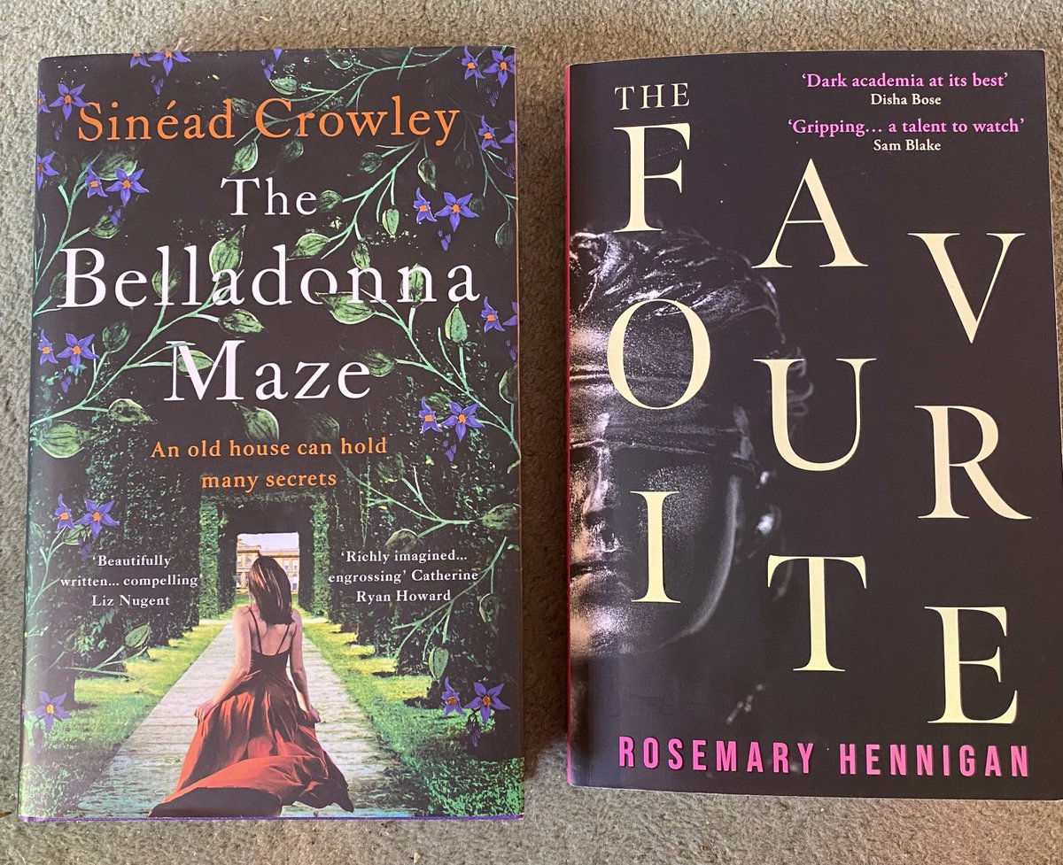 Half term reading treats - two very different but gripping page-turners from Irish authors ⁦@SineadCrowley⁩ and ⁦@Rosemary_Henn⁩