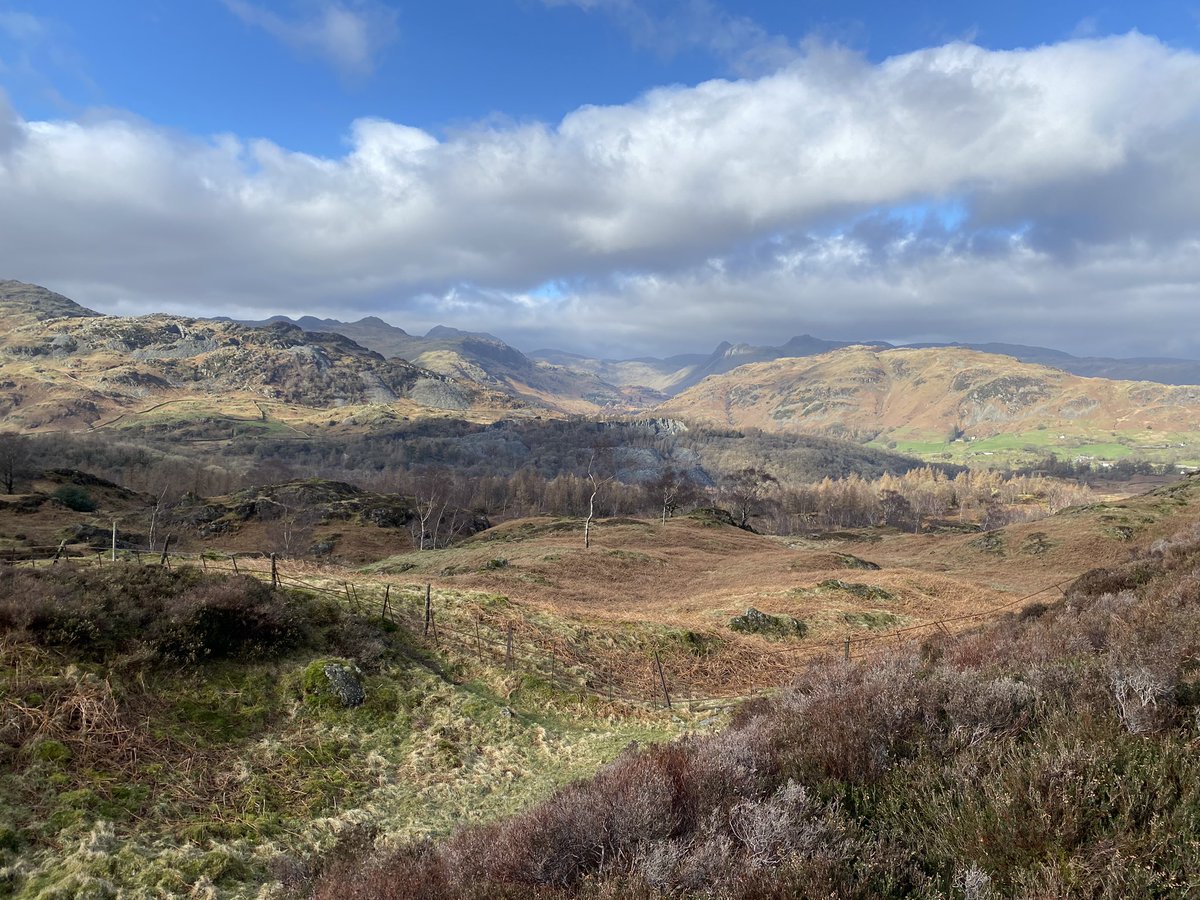 Paul Letch tweet media