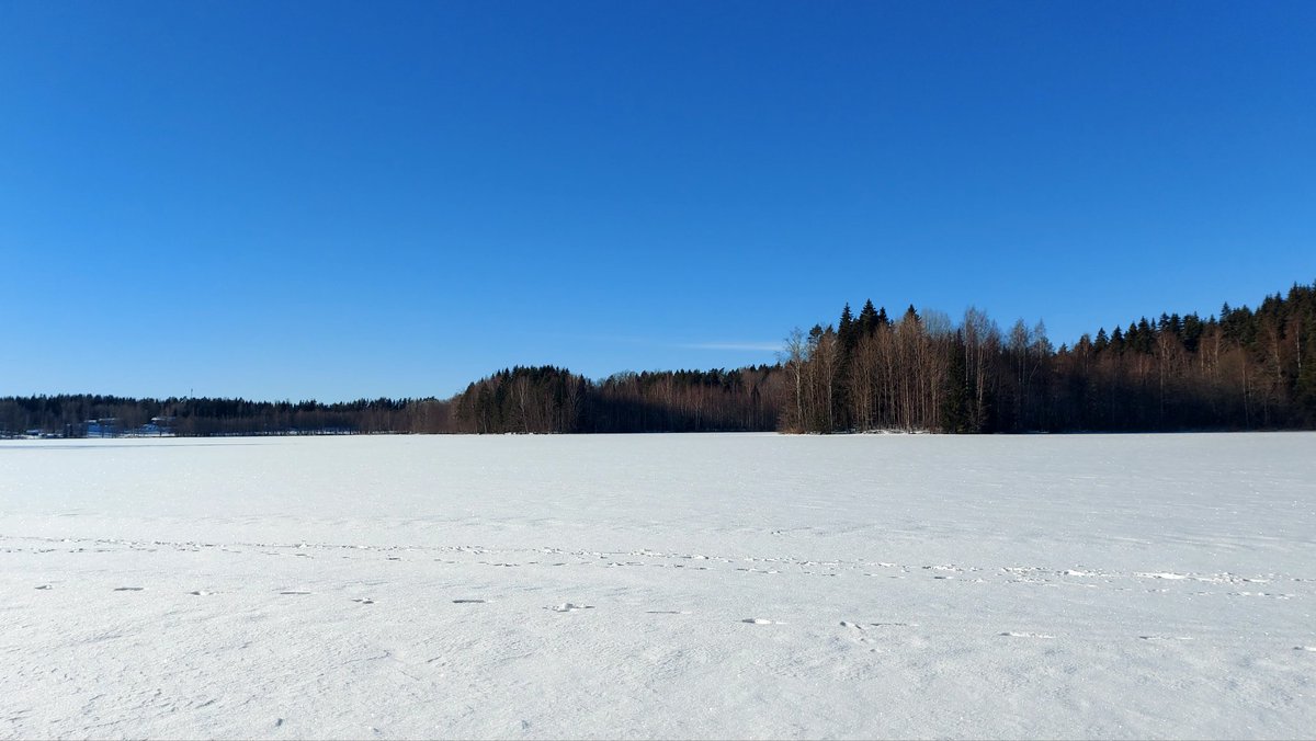 Omia latuja! Ihan parasta hiihtää lähijärven jäällä #luonto #liikunta
