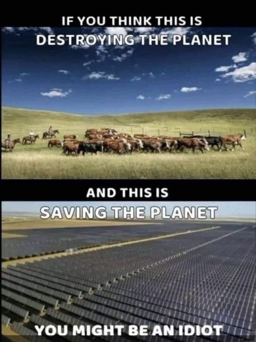 dwberkley's tweet image. Truth.